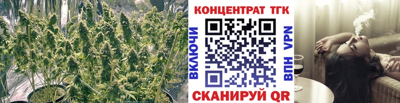 Купить закладки  Туринск  ТГК THC oil 